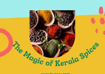 Why Kerala spices are a must-try for food lovers?