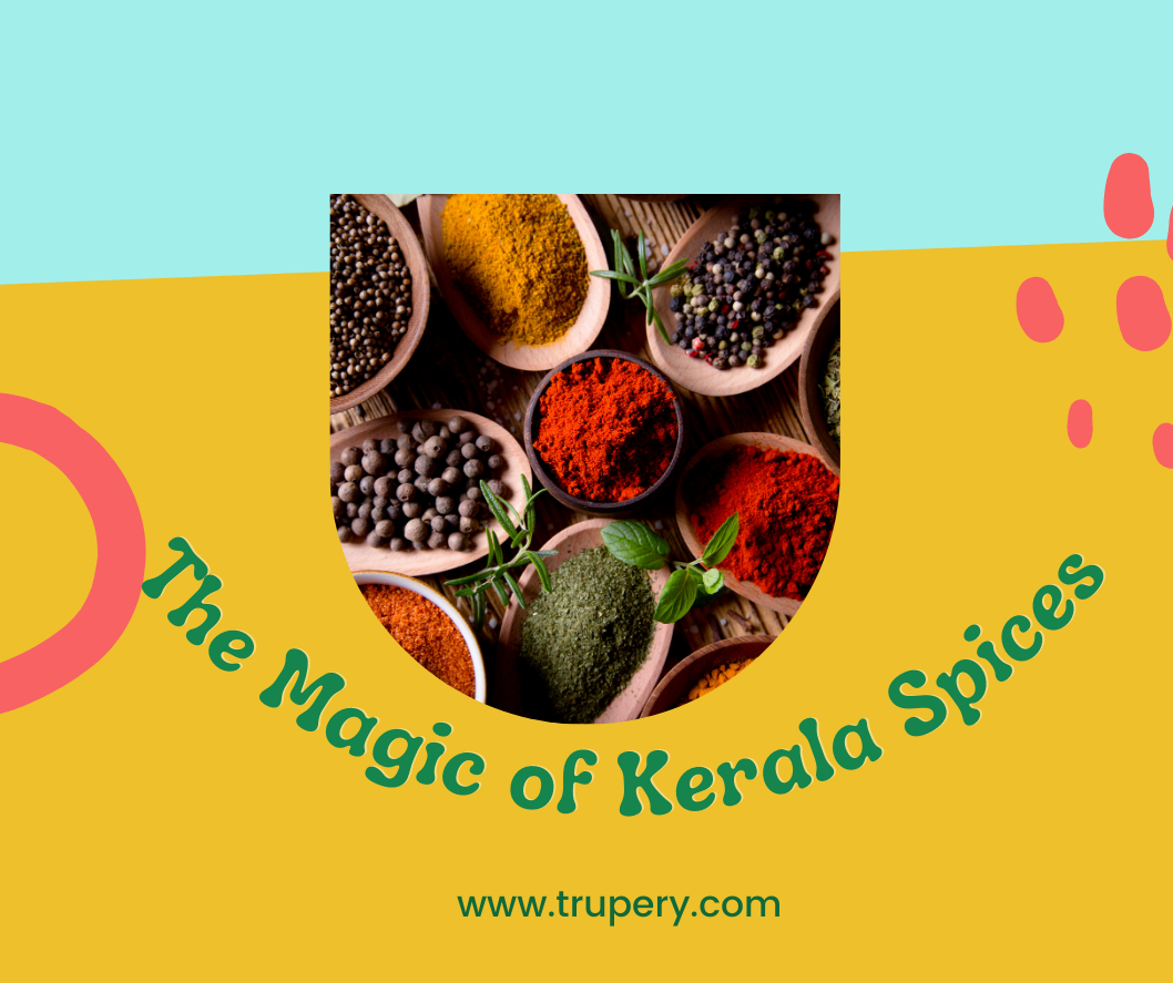 Why Kerala spices are a must-try for food lovers?