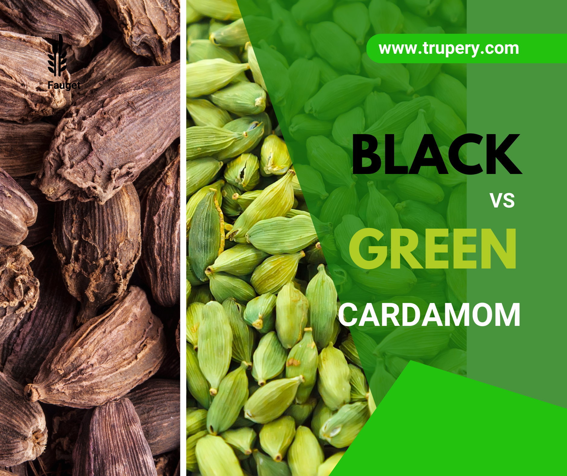 Green Cardamom vs Black Cardamom : What is difference between Choti Elaichi and Badi Elaichi?