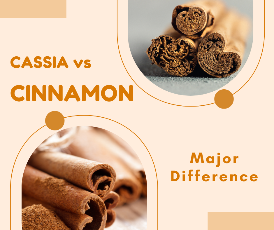 Cassia vs Cinnamon : What is their major difference?