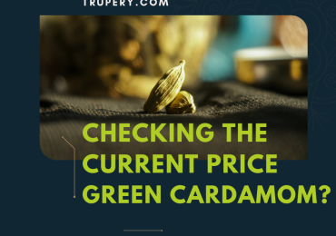 How to check the current price of green cardamom in Kerala?